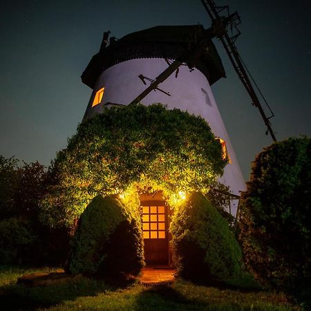 Windmill Vacation Home In Ledzin Near Baltic Sea Нехоже Экстерьер фото