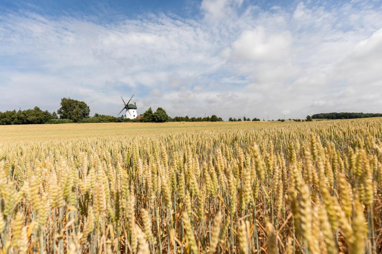 Windmill Vacation Home In Ledzin Near Baltic Sea Нехоже Экстерьер фото