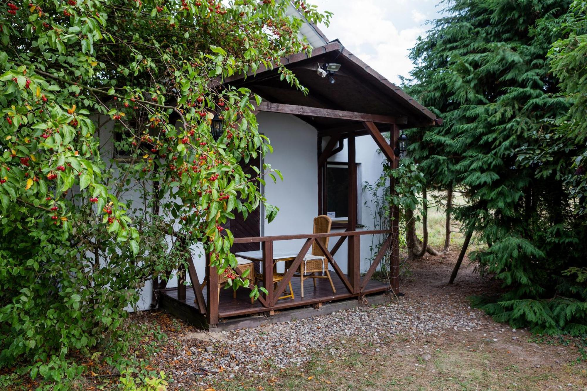 Windmill Vacation Home In Ledzin Near Baltic Sea Нехоже Номер фото
