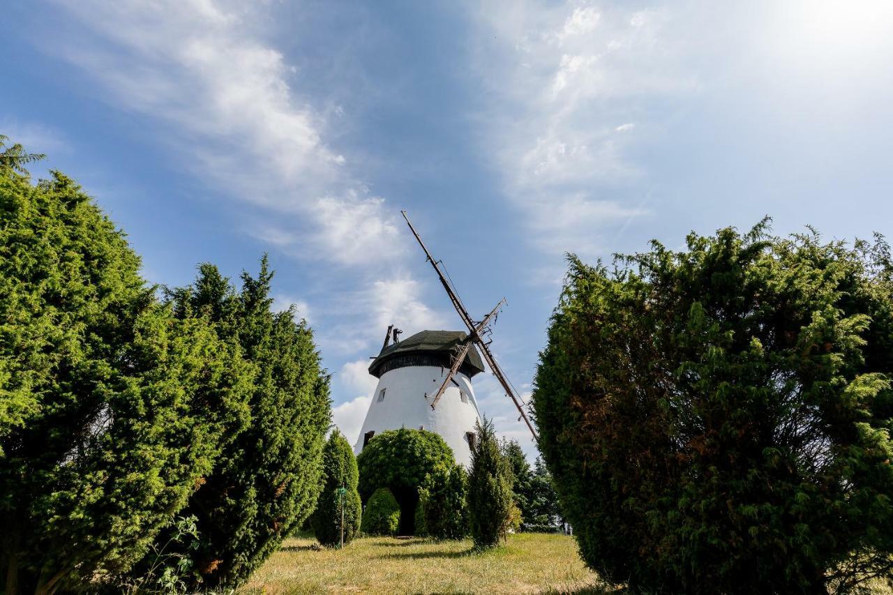 Windmill Vacation Home In Ledzin Near Baltic Sea Нехоже Экстерьер фото