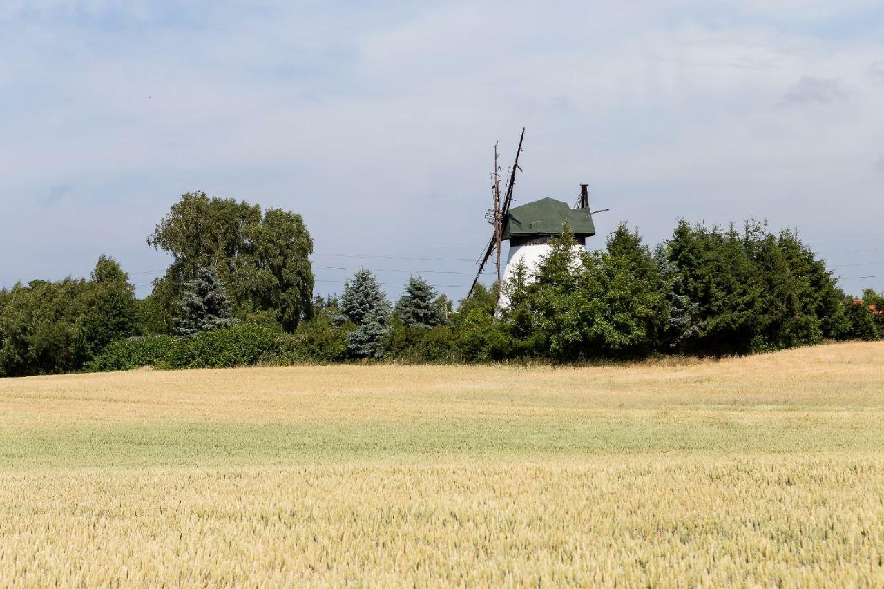 Windmill Vacation Home In Ledzin Near Baltic Sea Нехоже Экстерьер фото