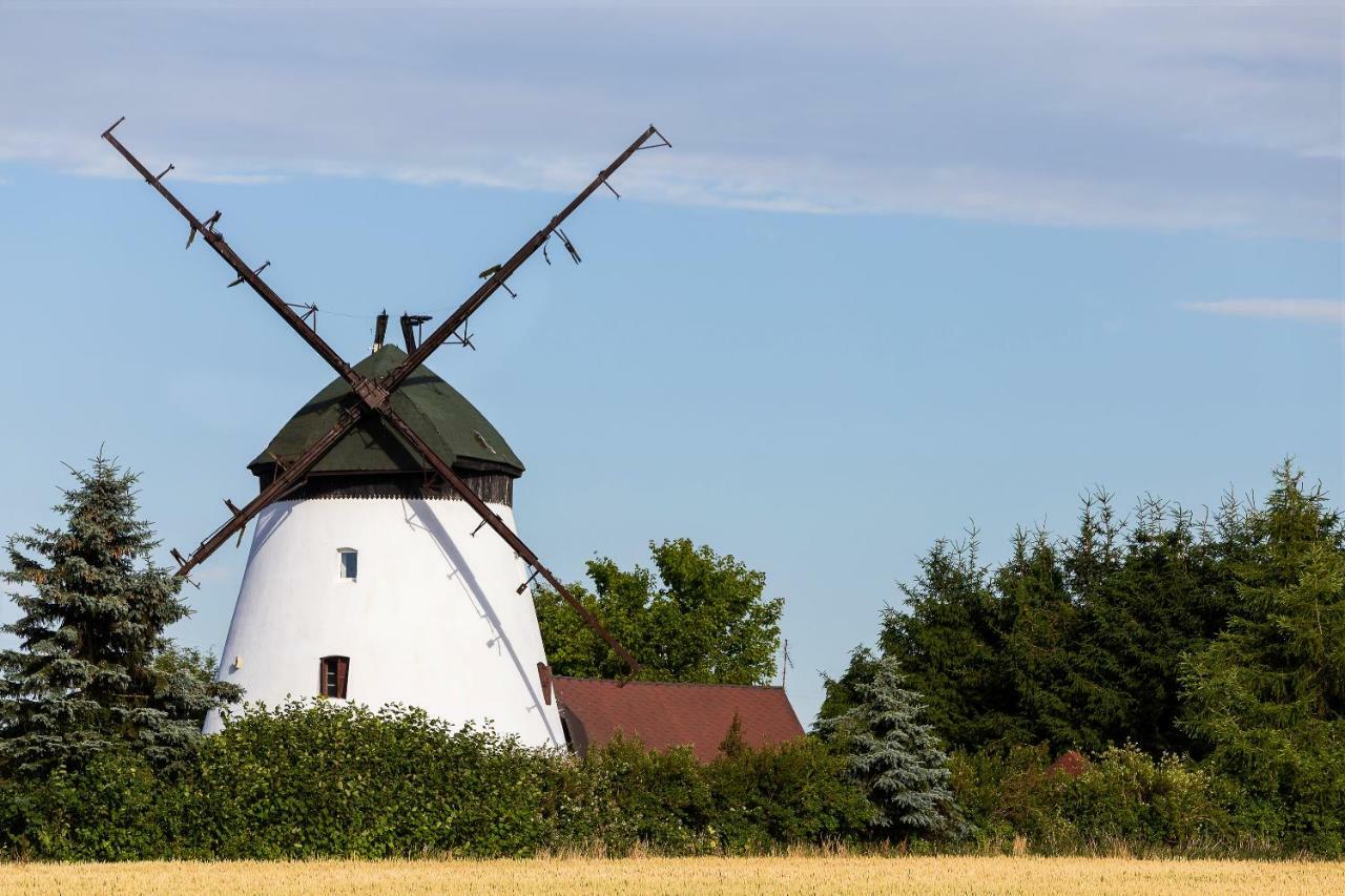 Windmill Vacation Home In Ledzin Near Baltic Sea Нехоже Экстерьер фото