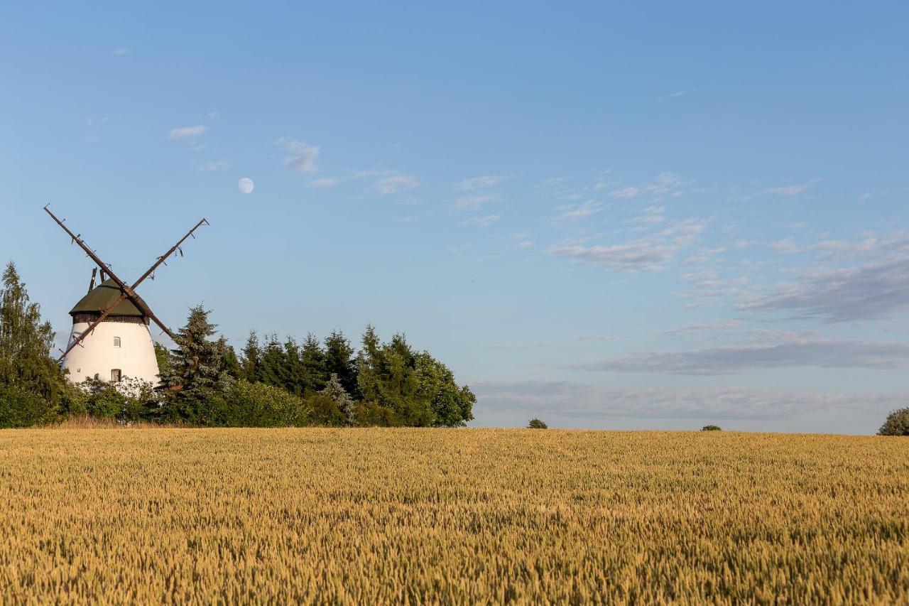 Windmill Vacation Home In Ledzin Near Baltic Sea Нехоже Экстерьер фото